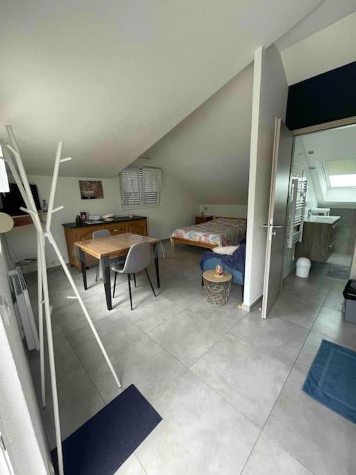 Studio Tout Equipe Aux Pieds Des Vosges Leimbach Luaran gambar