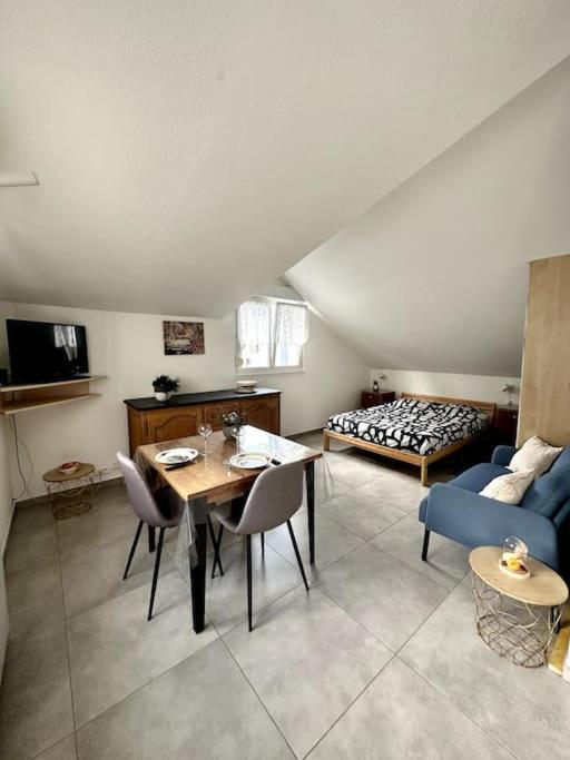 Studio Tout Equipe Aux Pieds Des Vosges Leimbach Luaran gambar